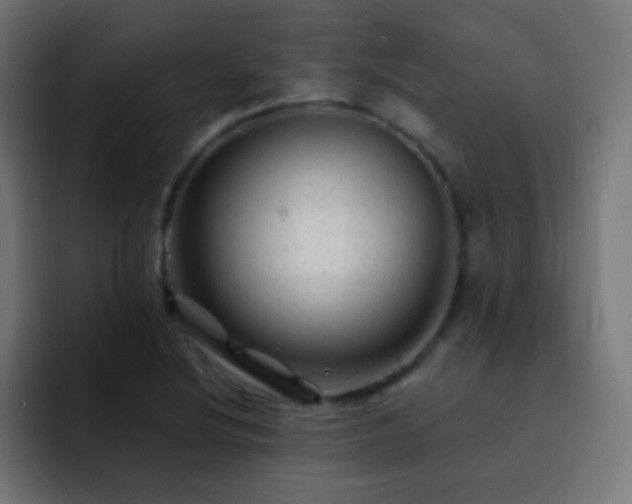 X0000093141220200710031404