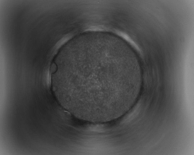 X0000093141221200710031404