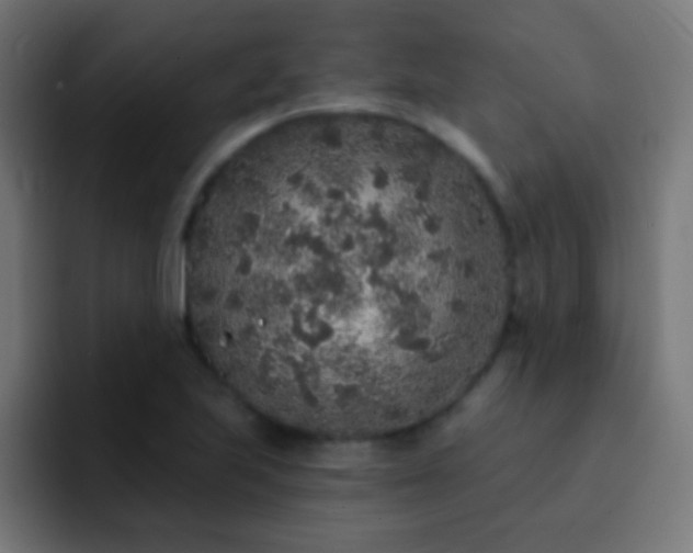 X0000093141223200710031404