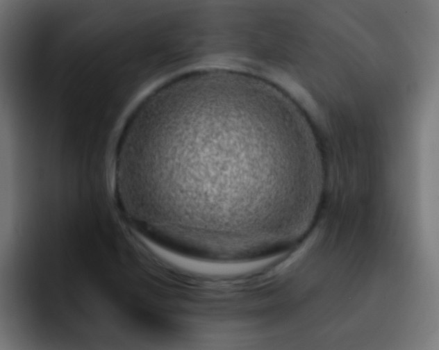 X0000093141224200710031404