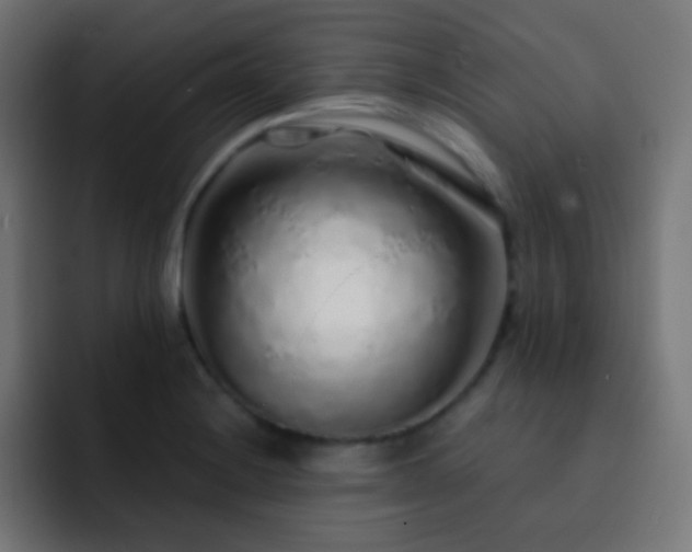 X0000093141228200710031404