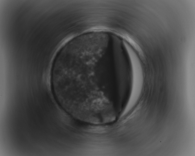 X0000093141229200710031404