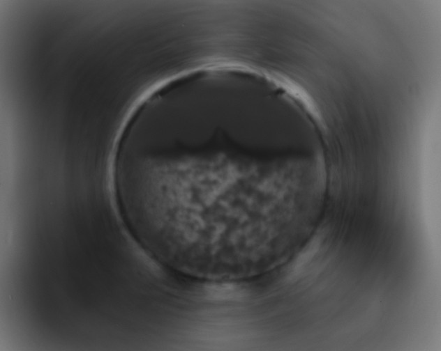 X0000093141231200710031404
