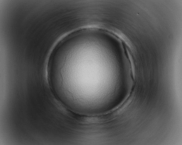 X0000093141232200710031404