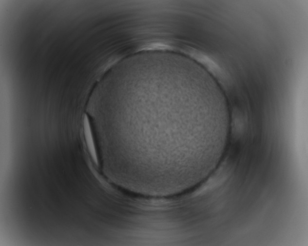 X0000093141233200710031404
