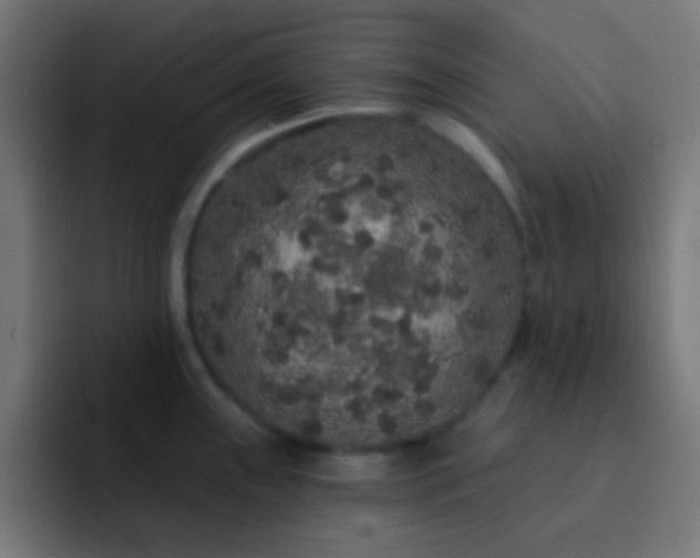 X0000093141243200710031404