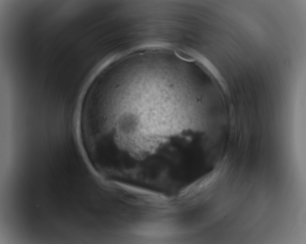 X0000093141245200710031404