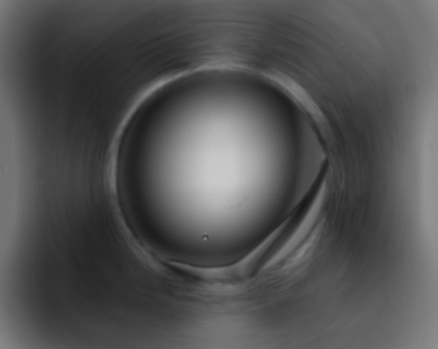 X0000093141246200710031404