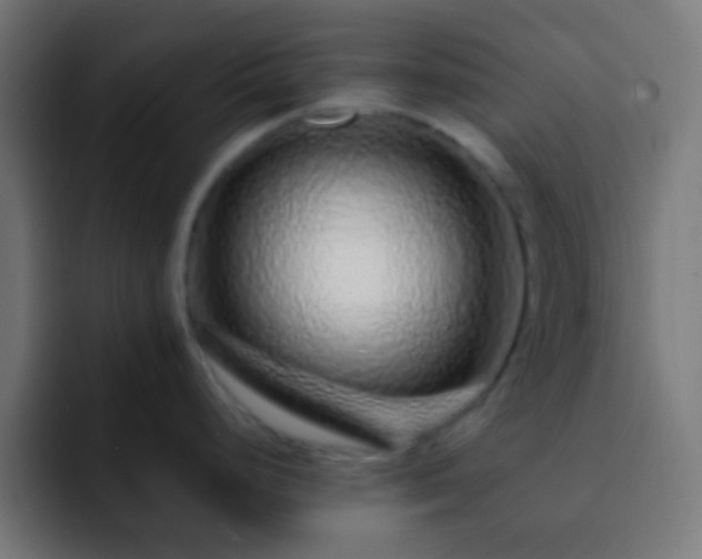 X0000093141248200710031404