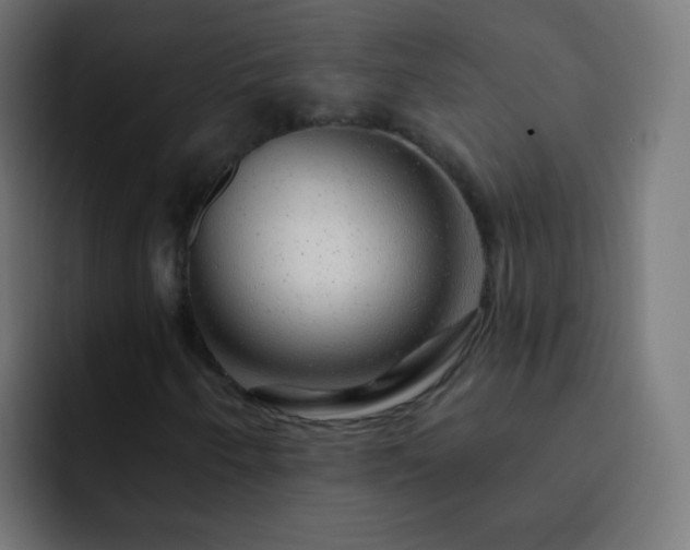 X0000093141250200710031404