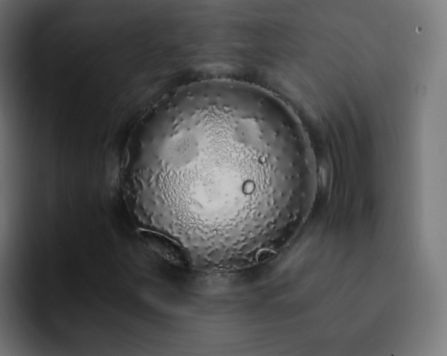 X0000093141251200710031404