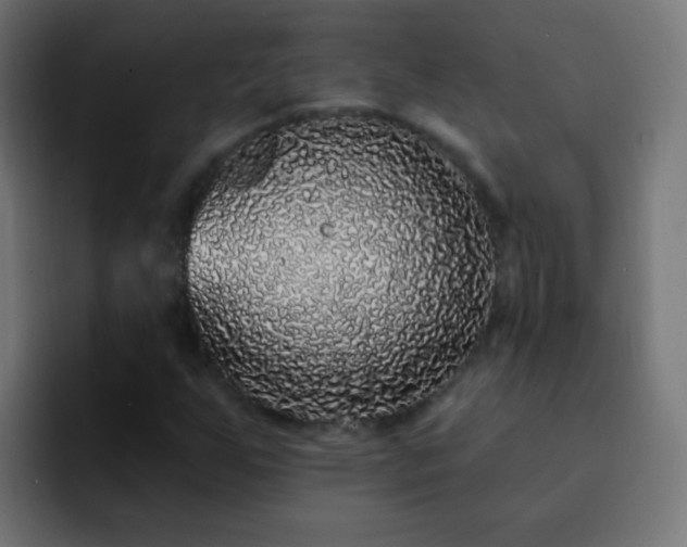 X0000093141255200710031403