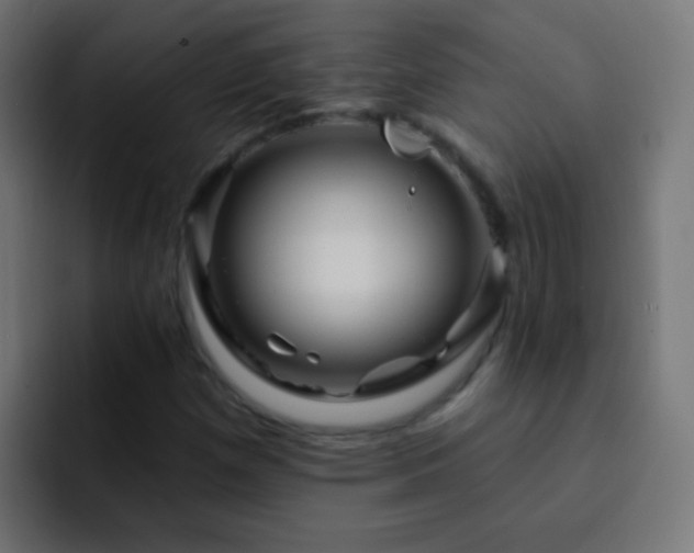 X0000093141257200710031403