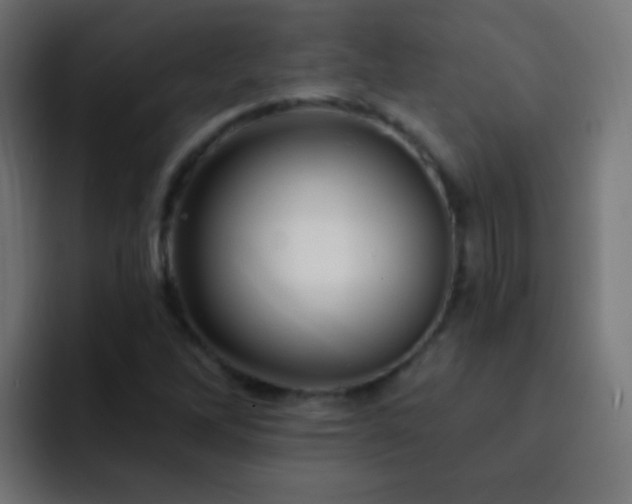 X0000093141262200710031403