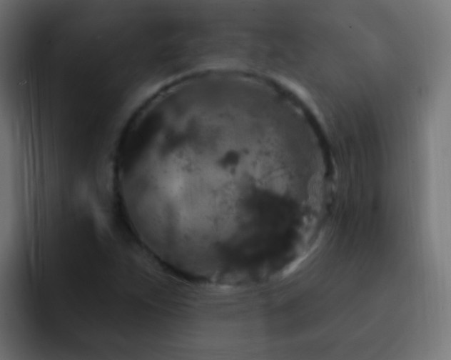 X0000093141263200710031403