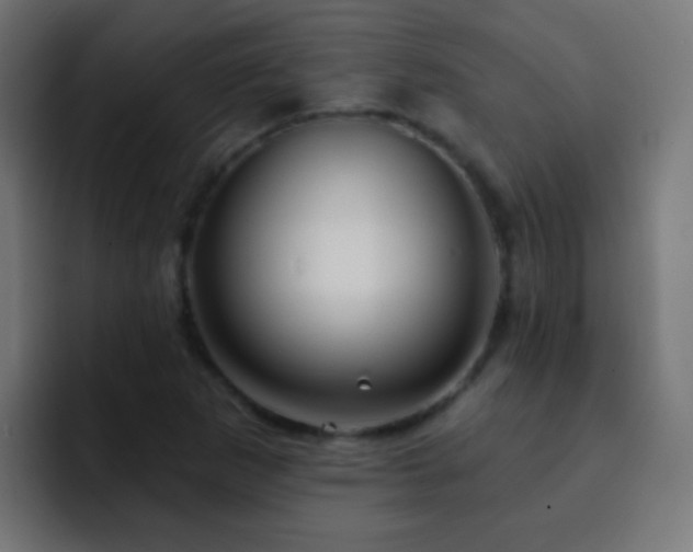 X0000093141265200710031403