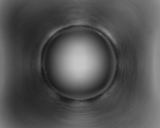 X0000093141270200710031403