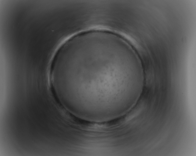 X0000093141271200710031403