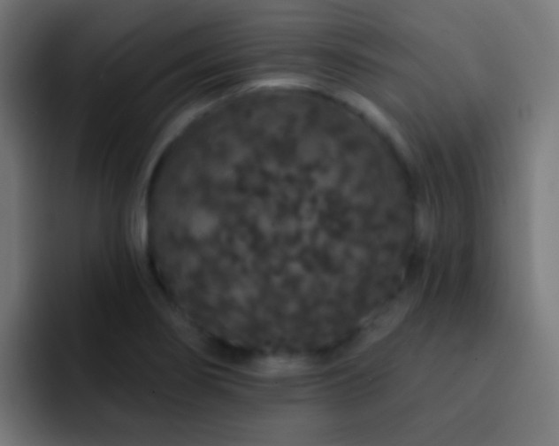 X0000093141274200710031403