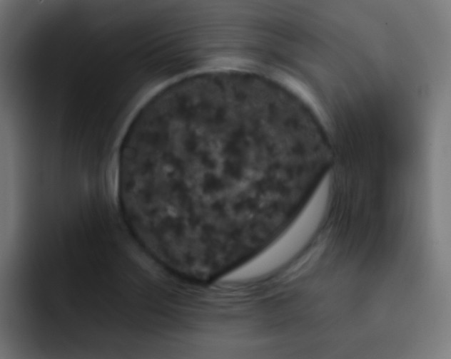 X0000093141275200710031403