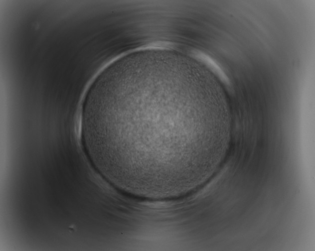 X0000093141276200710031403