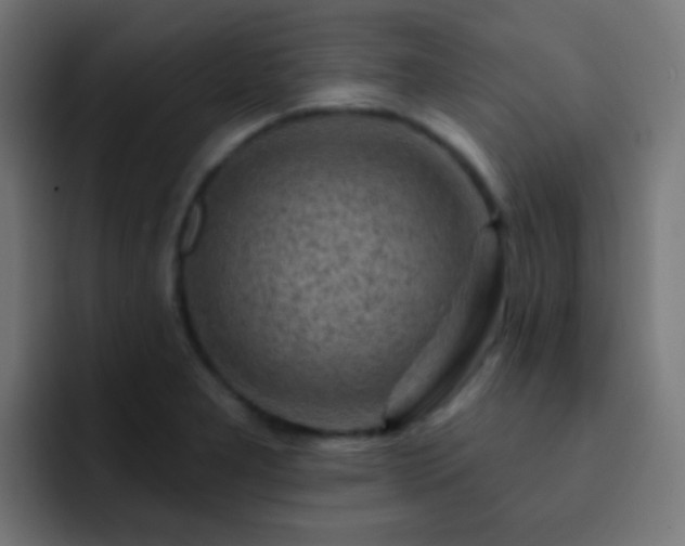 X0000093141277200710031403