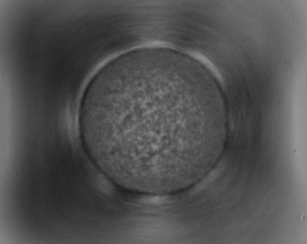 X0000093141278200710031403