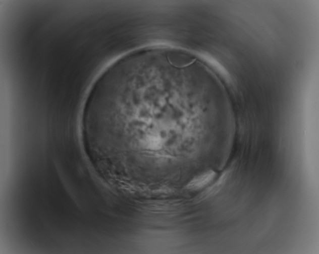X0000093141279200710031403