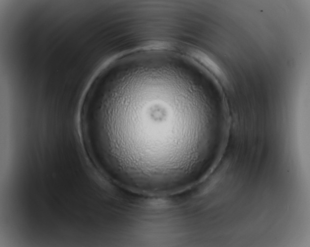 X0000093141283200710031403
