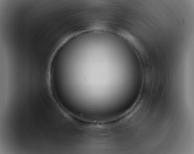 X0000093141286200710031403