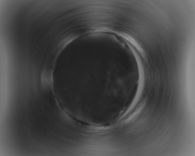 X0000093141289200710031403