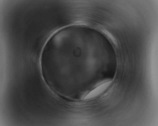 X0000093141291200710031403