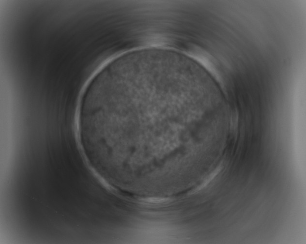 X0000093141294200710031403