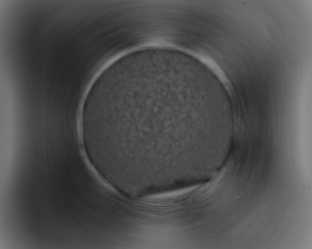 X0000093141295200710031403