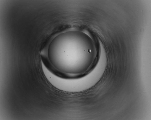 X0000093141298200710031402