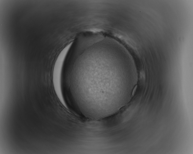 X0000093141300200710031402