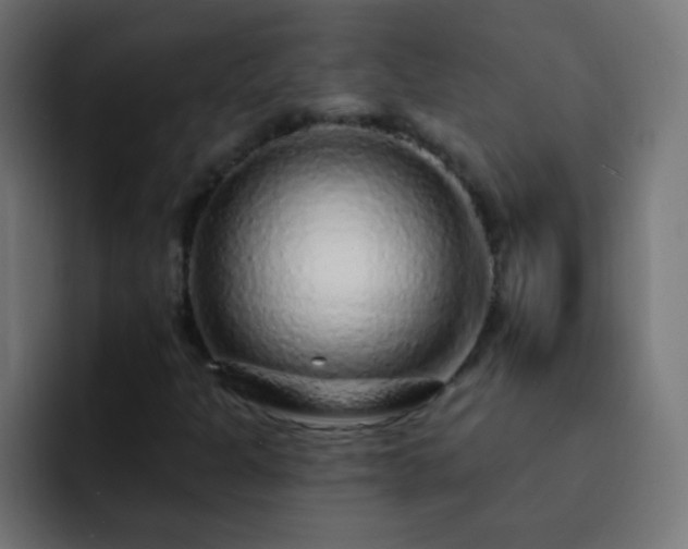 X0000093141301200710031403