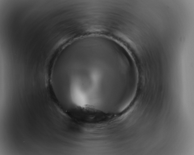 X0000093141306200710031403