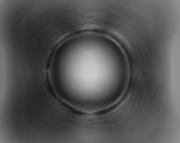 X0000093141313200710031403