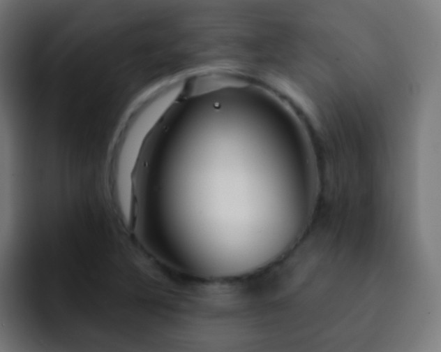 X0000093141316200710031403