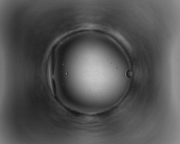 X0000093141318200710031403