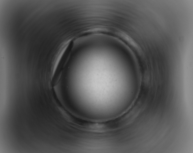 X0000093141321200710031403