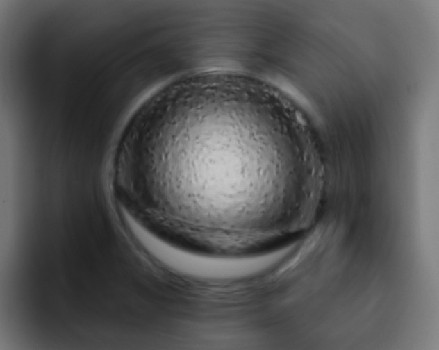 X0000093141325200710031403