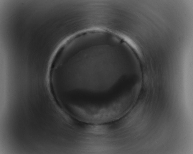 X0000093141327200710031403