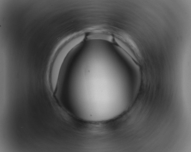 X0000093141328200710031403