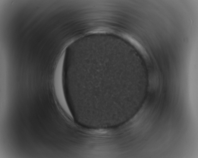 X0000093141329200710031403