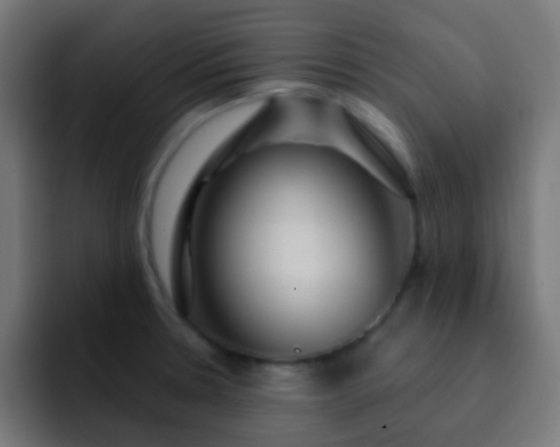 X0000093141330200710031403