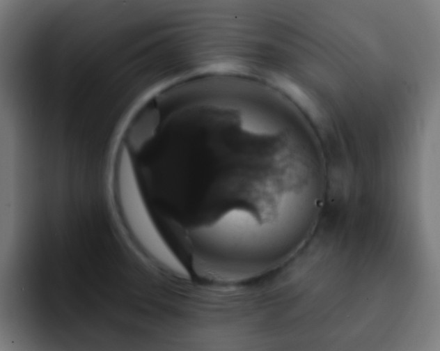 X0000093141331200710031403