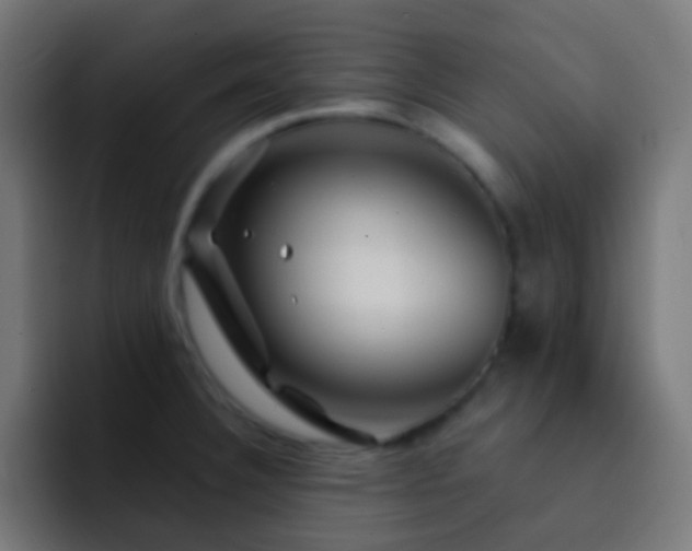 X0000093141332200710031403