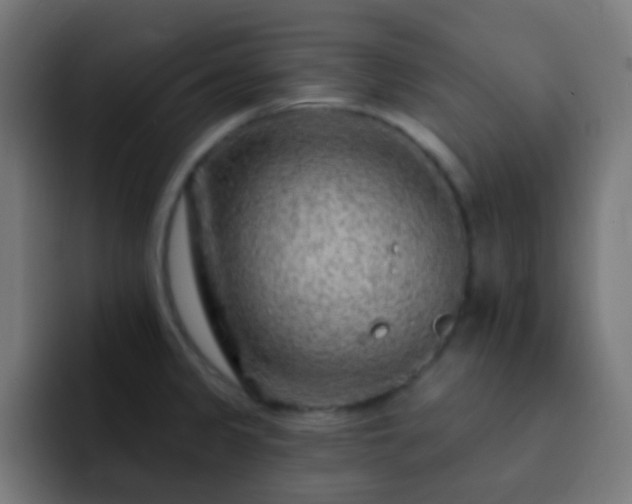 X0000093141333200710031403
